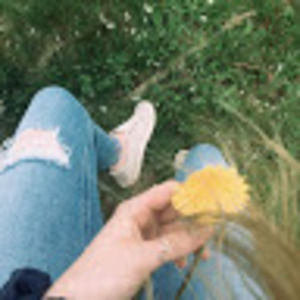 Meet your Posher, Bailey